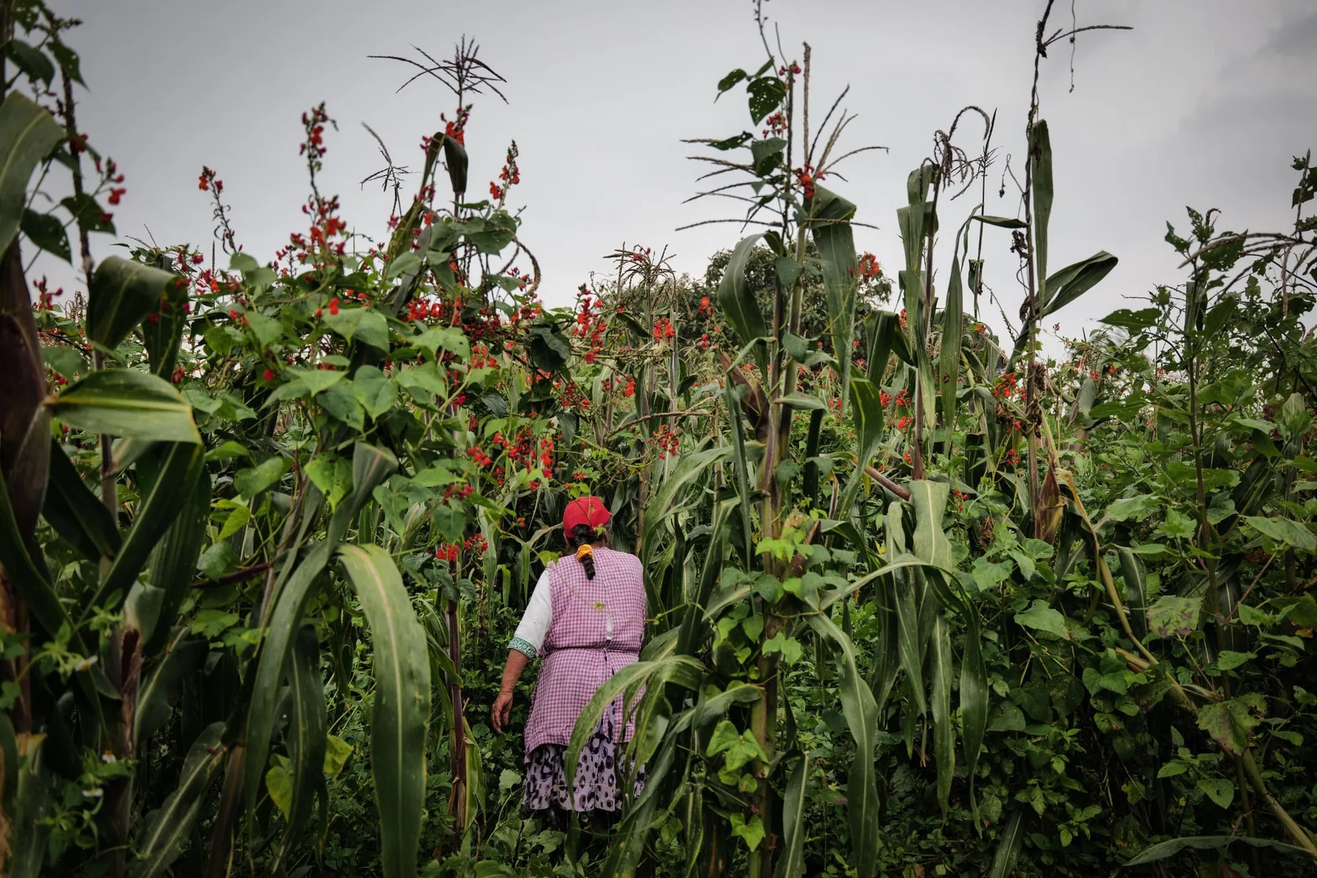 Woman in a flower field